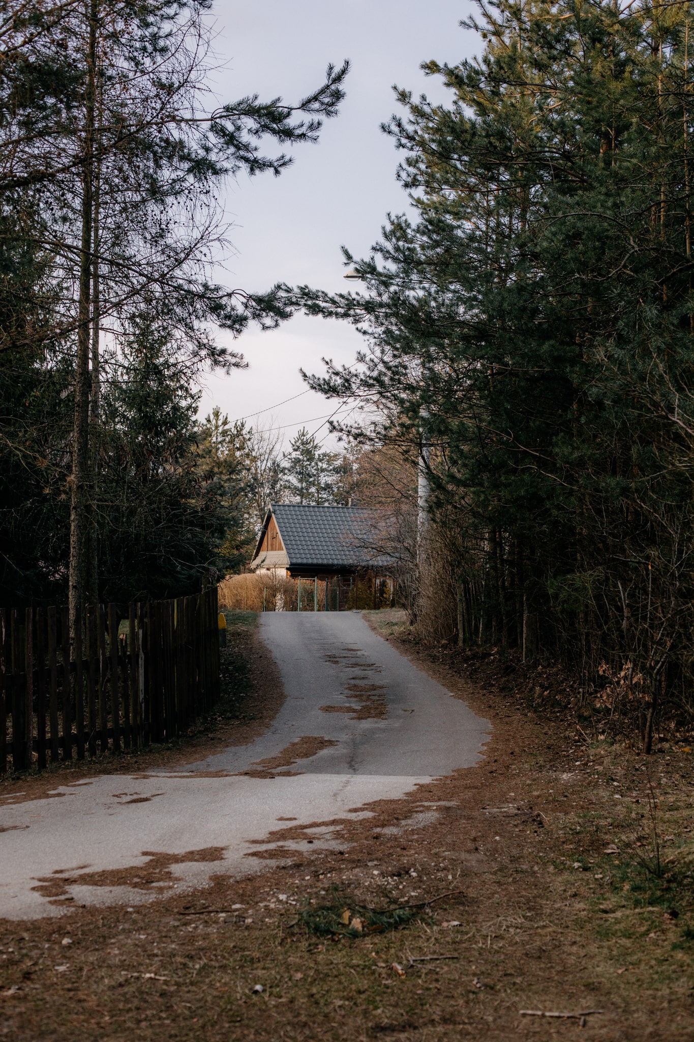 zdjęcie 4